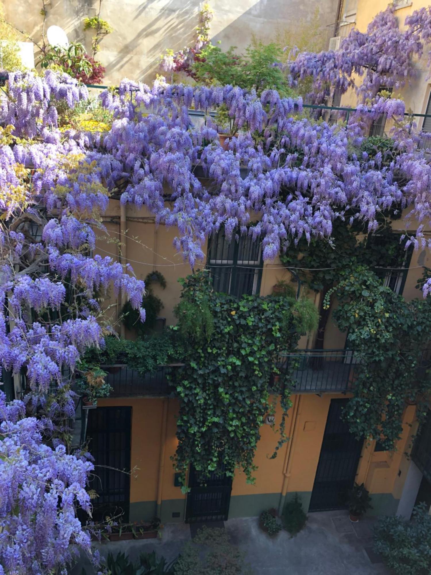 La Casa Degli Angeli Apartment Turin Luaran gambar