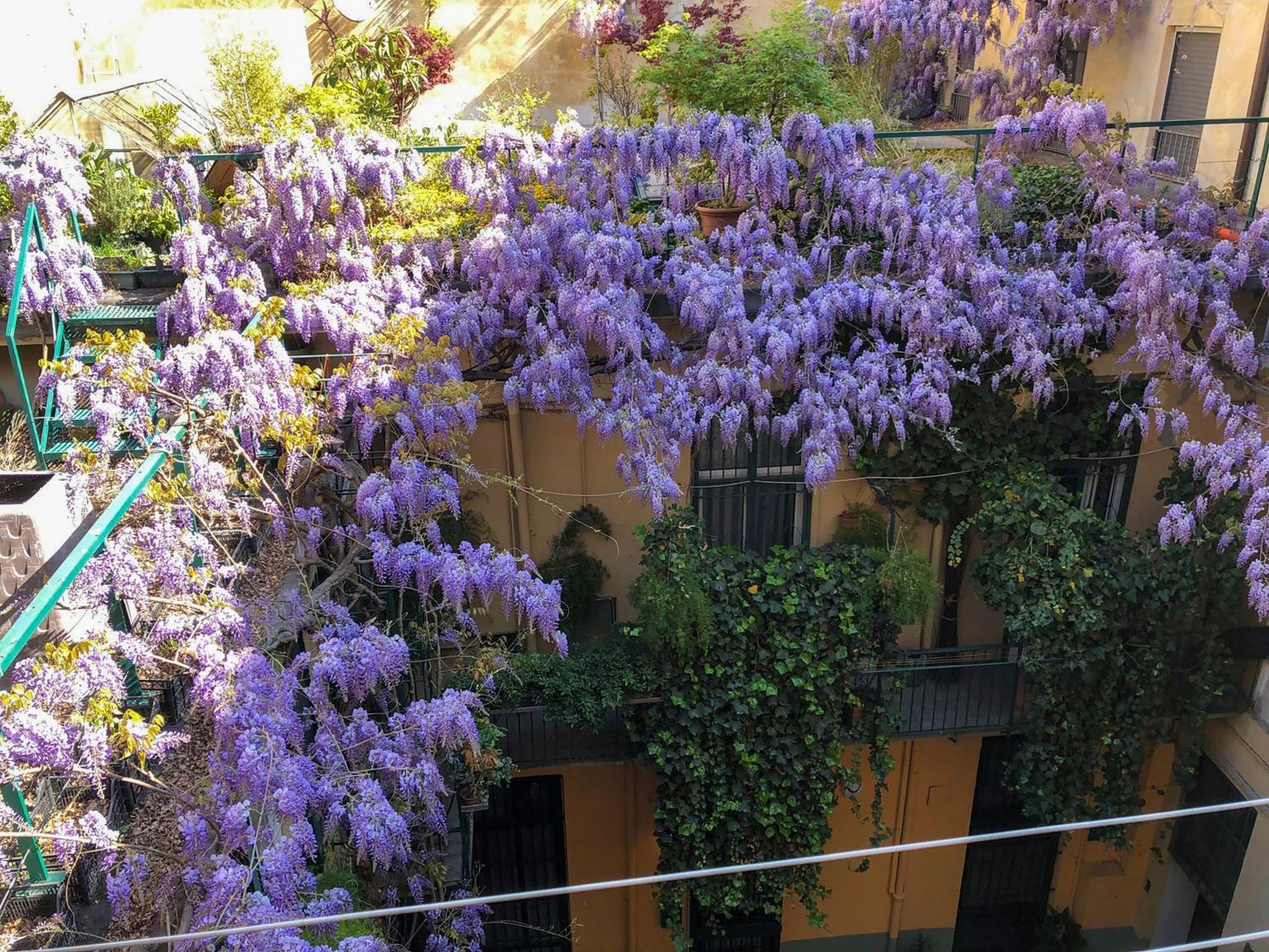 La Casa Degli Angeli Apartment Turin Luaran gambar
